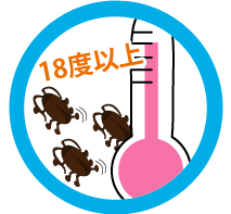 18度以上になるとガサゴソと行動を開始