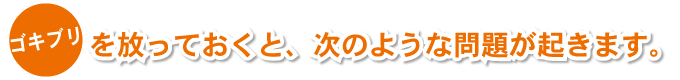 ゴキブリを放っておくと、次のような問題が起きます。